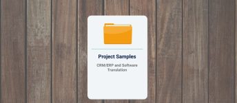 CRM/ERP and Software Translation